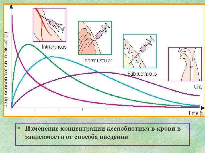 § Изменение концентрации ксенобиотика в крови в зависимости от способа введения 