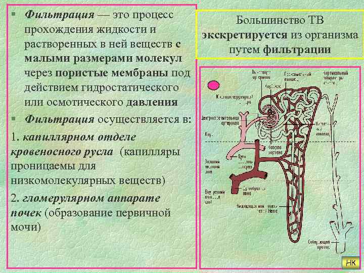 Фильтрация какие процессы осуществляются