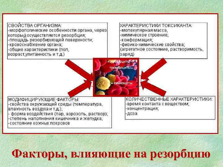 Факторы, влияющие на резорбцию 