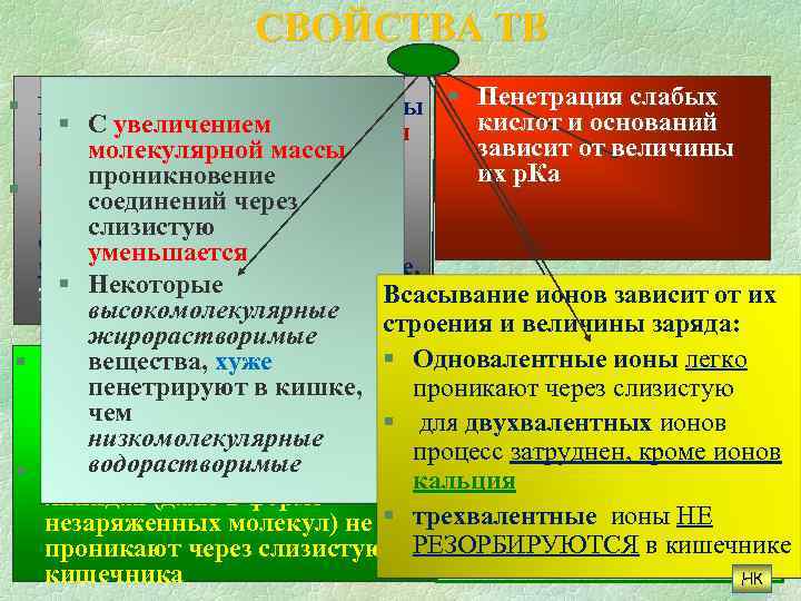СВОЙСТВА ТВ § Как правило, сильные кислоты § Пенетрация слабых кислот и оснований и