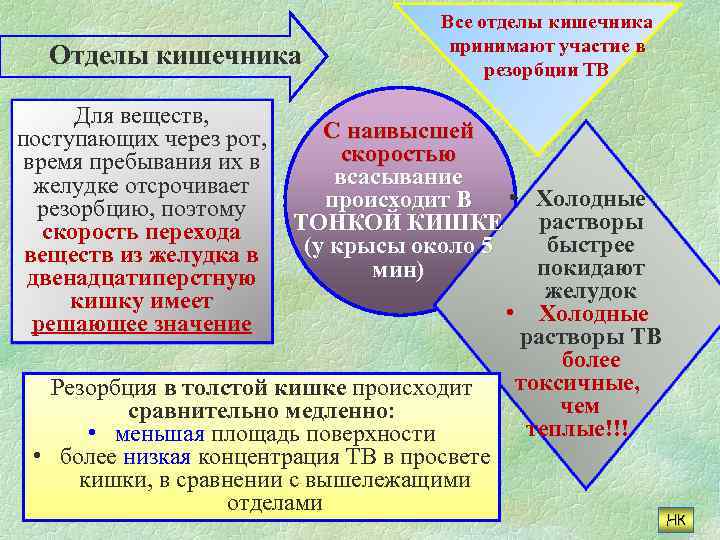 Отделы кишечника Все отделы кишечника принимают участие в резорбции ТВ Для веществ, С наивысшей