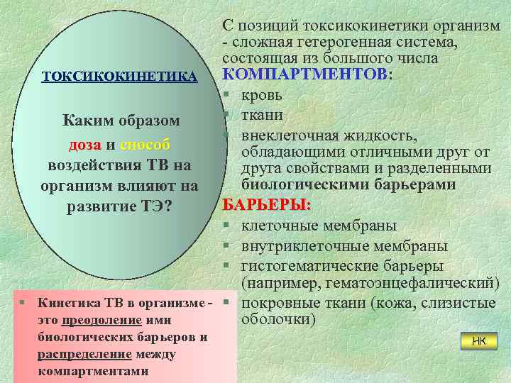 С позиций токсикокинетики организм - сложная гетерогенная система, состоящая из большого числа КОМПАРТМЕНТОВ: ТОКСИКОКИНЕТИКА