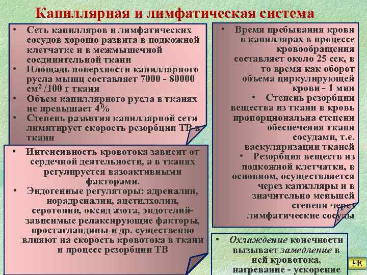 Капиллярная и лимфатическая система • Сеть капилляров и лимфатических сосудов хорошо развита в подкожной