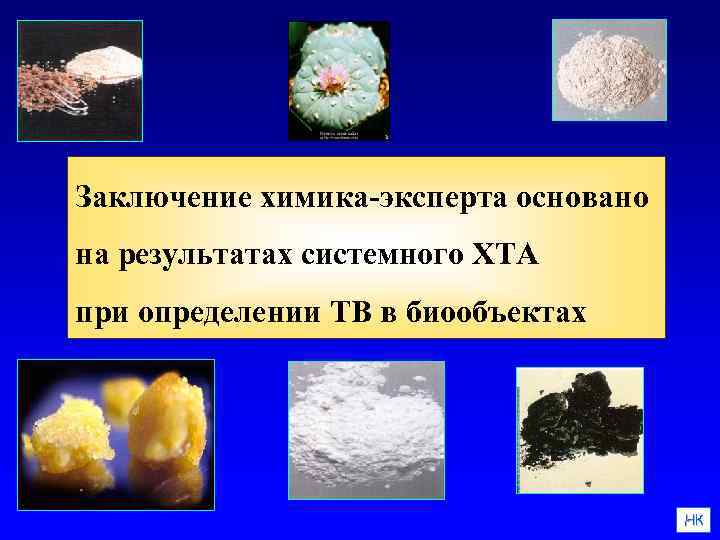 Заключение химика-эксперта основано на результатах системного ХТА при определении ТВ в биообъектах НК 