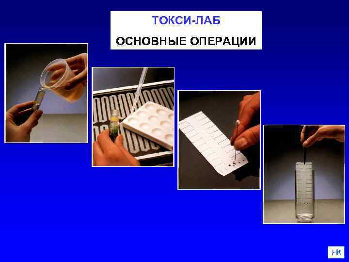 ТОКСИ-ЛАБ ОСНОВНЫЕ ОПЕРАЦИИ НК 
