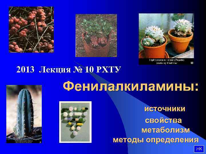 2013 Лекция № 10 РХТУ Фенилалкиламины: источники свойства метаболизм методы определения НК 