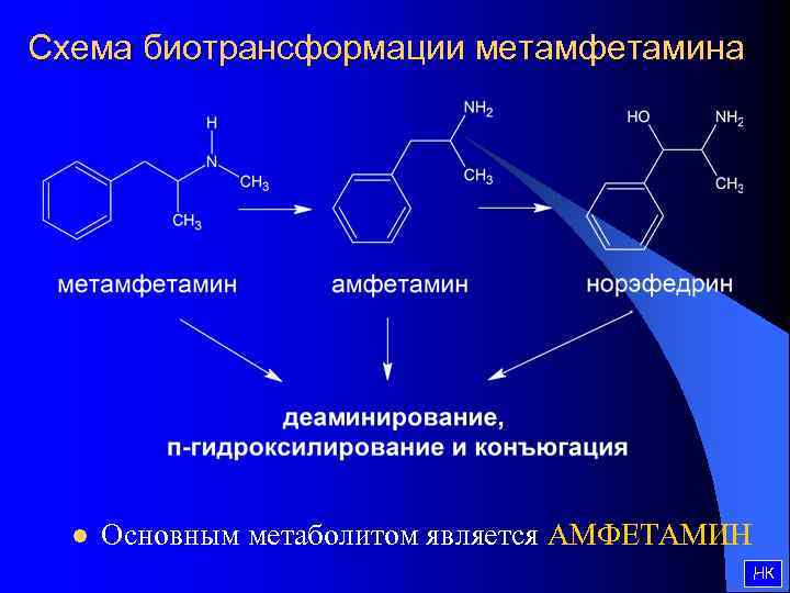 Схема биотрансформации метамфетамина l Основным метаболитом является АМФЕТАМИН НК 