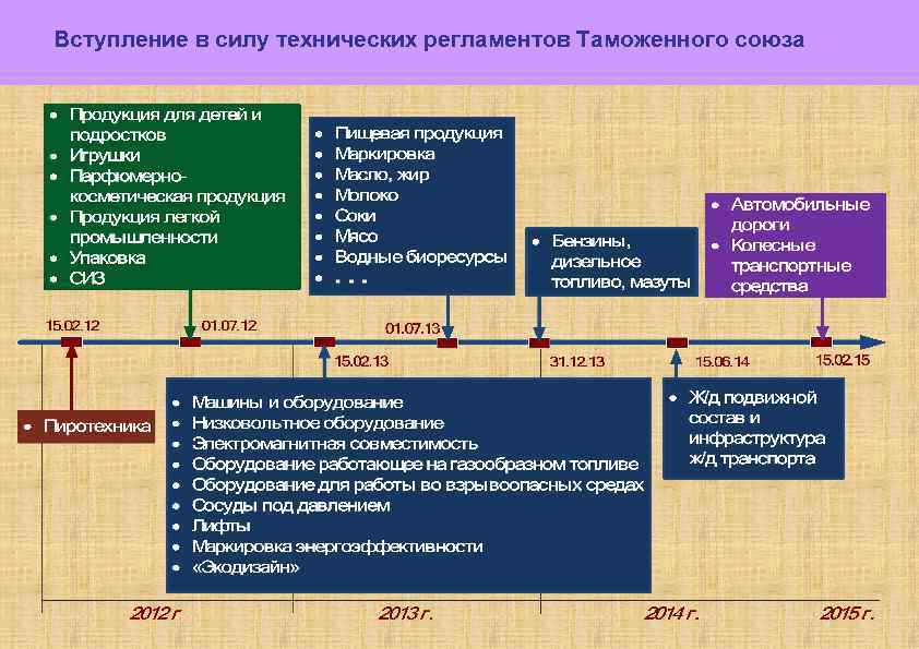 100 Вступление в силу технических регламентов Таможенного союза 