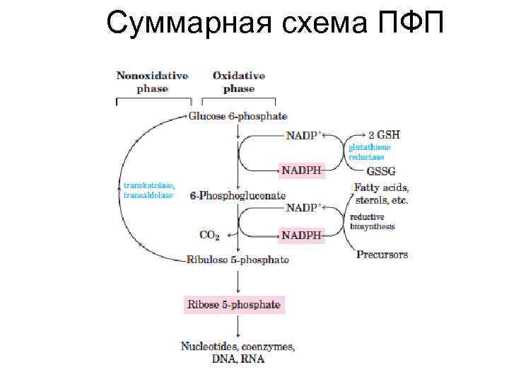 Пфп с схема