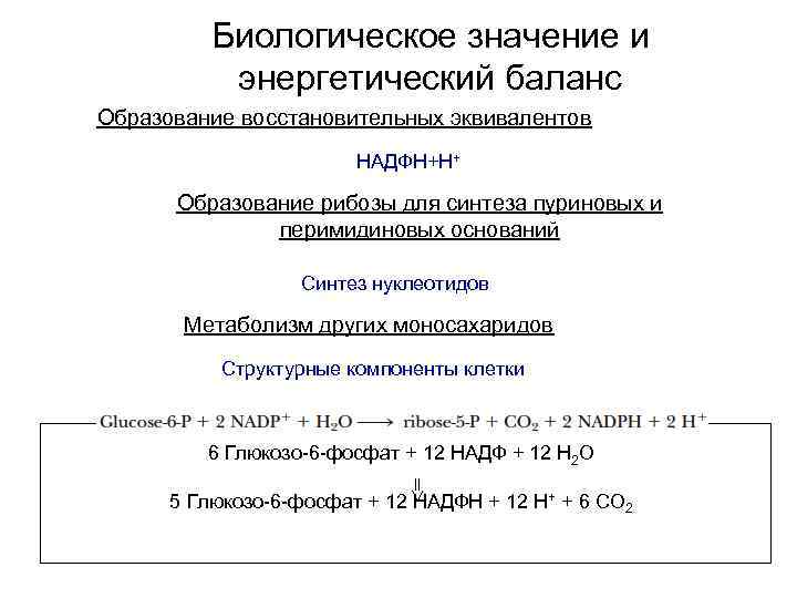 Биологическое значение и энергетический баланс Образование восстановительных эквивалентов НАДФН+Н+ Образование рибозы для синтеза пуриновых