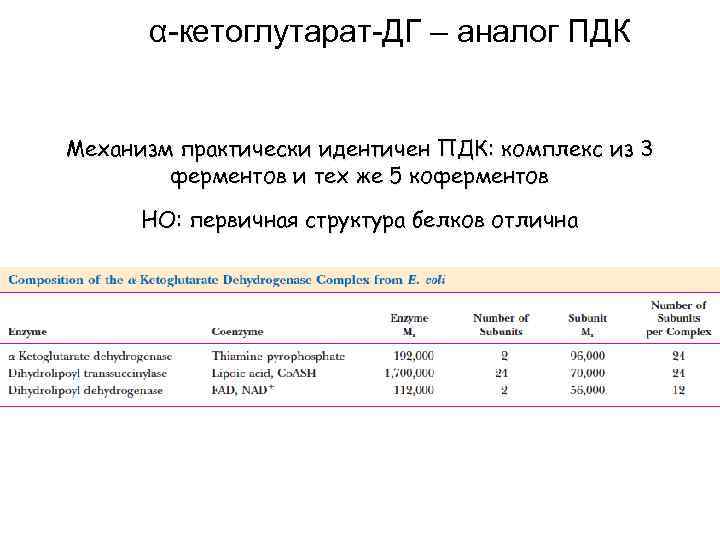 α-кетоглутарат-ДГ – аналог ПДК Механизм практически идентичен ПДК: комплекс из 3 ферментов и тех