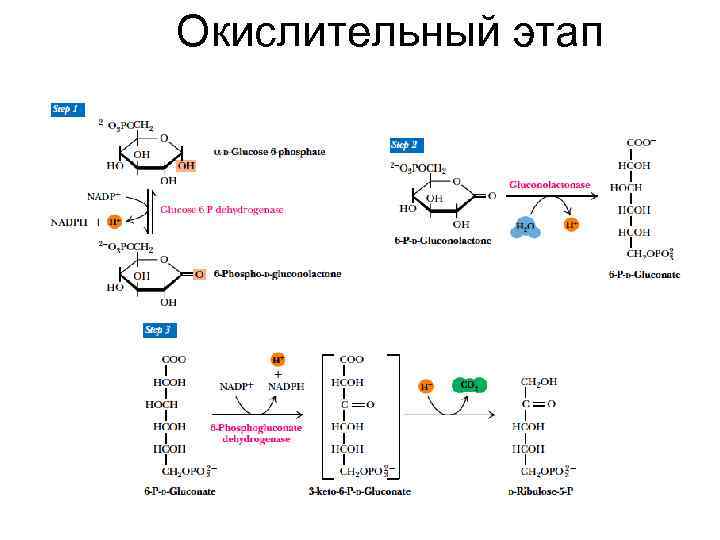 Пфп с схема