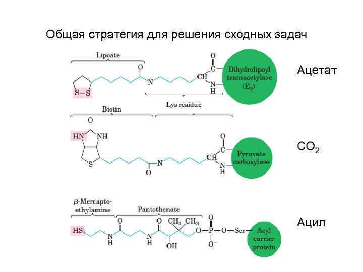 Общая стратегия для решения сходных задач Ацетат СО 2 Ацил 