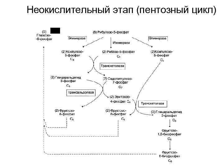 Пфп с схема