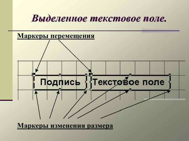 Выделенное текстовое поле. 