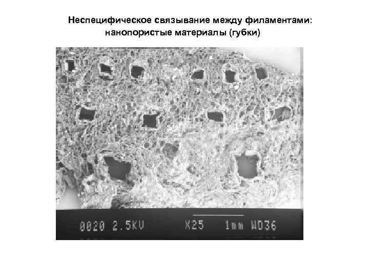 Неспецифическое связывание между филаментами: нанопористые материалы (губки) 