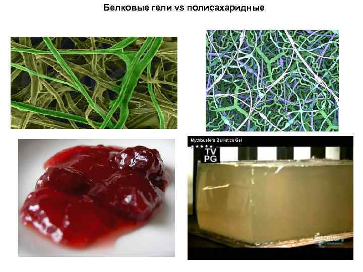 Белковые гели vs полисахаридные 