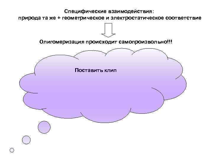 Специфические взаимодействия: природа та же + геометрическое и электростатическое соответствие Олигомеризация происходит самопроизвольно!!! Поставить