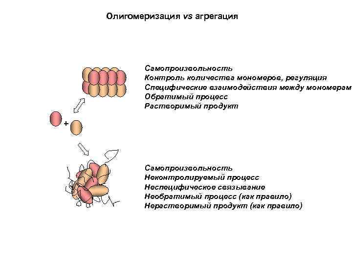 Олигомеризация vs агрегация Самопроизвольность Контроль количества мономеров, регуляция Специфические взаимодействия между мономерами Обратимый процесс