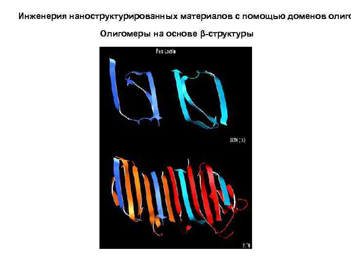 Инженерия наноструктурированных материалов с помощью доменов олиго Олигомеры на основе β-структуры 