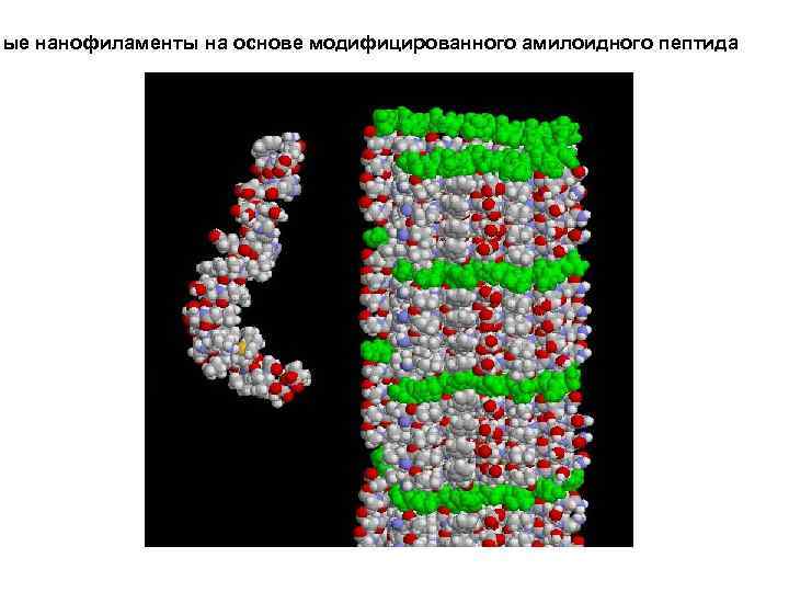 ные нанофиламенты на основе модифицированного амилоидного пептида 