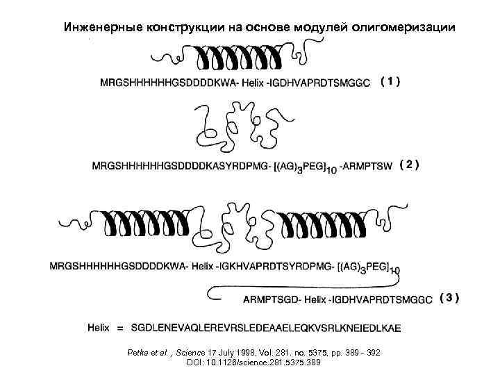 Инженерные конструкции на основе модулей олигомеризации Petka et al. , Science 17 July 1998,