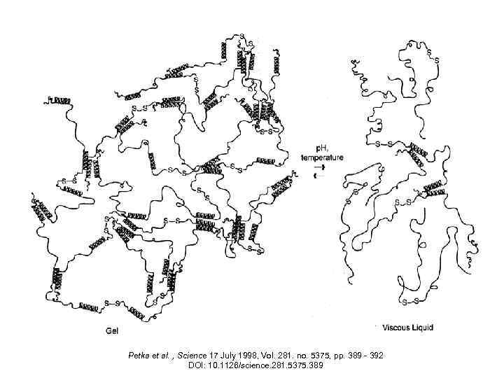 Petka et al. , Science 17 July 1998, Vol. 281. no. 5375, pp. 389