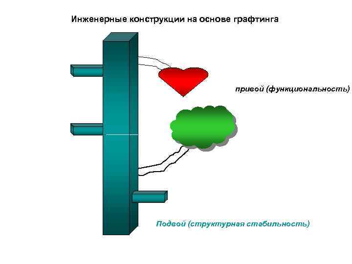 Инженерные конструкции на основе графтинга привой (функциональность) Подвой (структурная стабильность) 