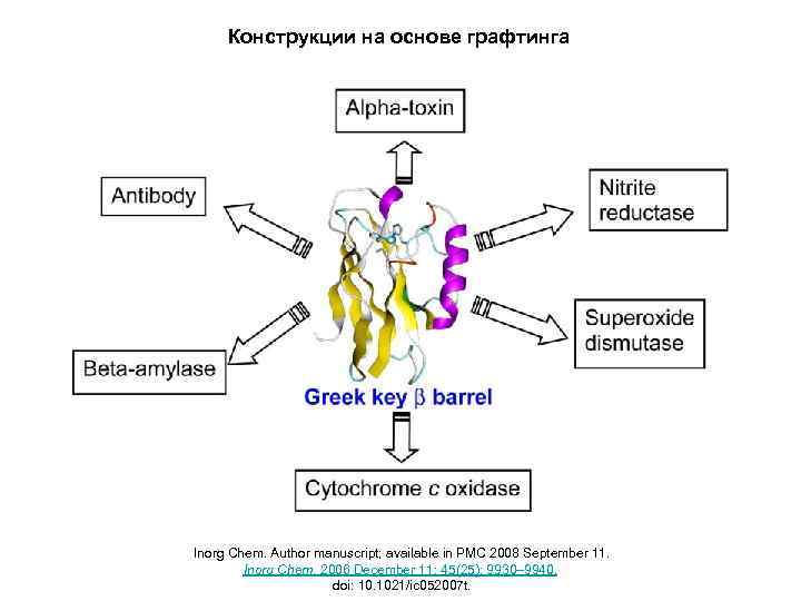 Конструкции на основе графтинга Inorg Chem. Author manuscript; available in PMC 2008 September 11.