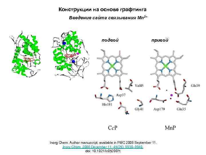 Конструкции на основе графтинга Введение сайта связывания Mn 2+ подвой привой Inorg Chem. Author