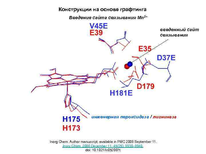 Конструкции на основе графтинга Введение сайта связывания Mn 2+ введенный сайт связывания инженерная пероксидаза