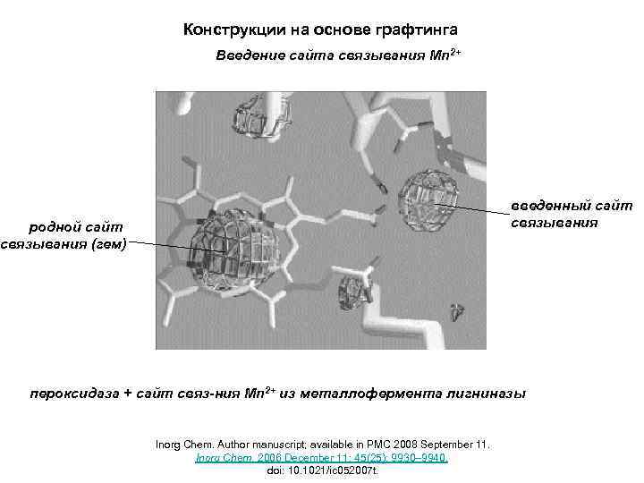 Конструкции на основе графтинга Введение сайта связывания Mn 2+ введенный сайт связывания родной сайт