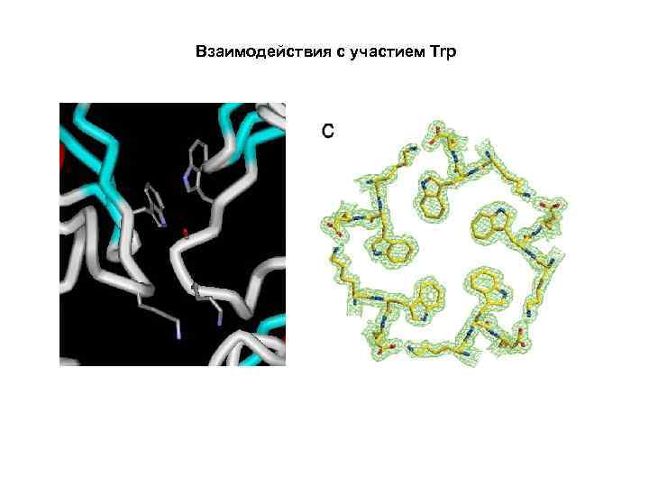 Взаимодействия с участием Trp 