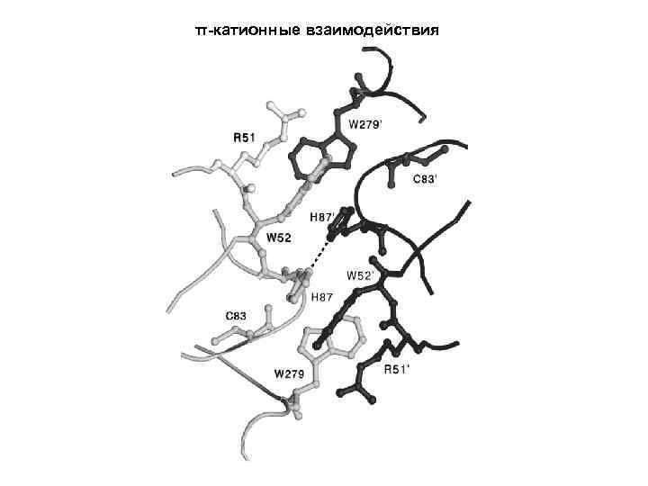 π-катионные взаимодействия 