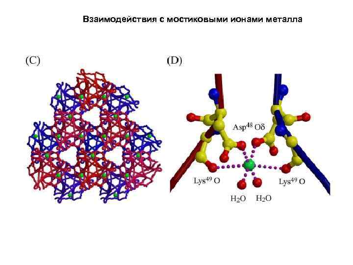 Взаимодействия с мостиковыми ионами металла 