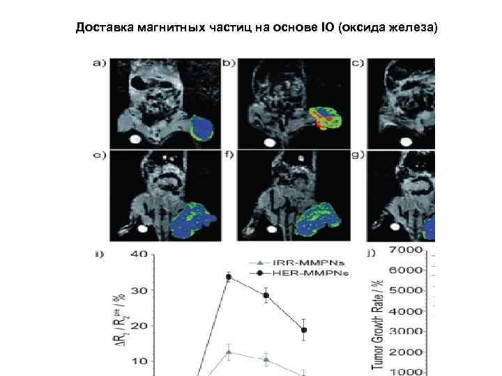 Доставка магнитных частиц на основе IO (оксида железа) 