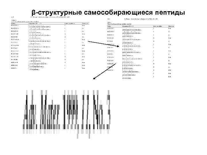 β-структурные самособирающиеся пептиды 