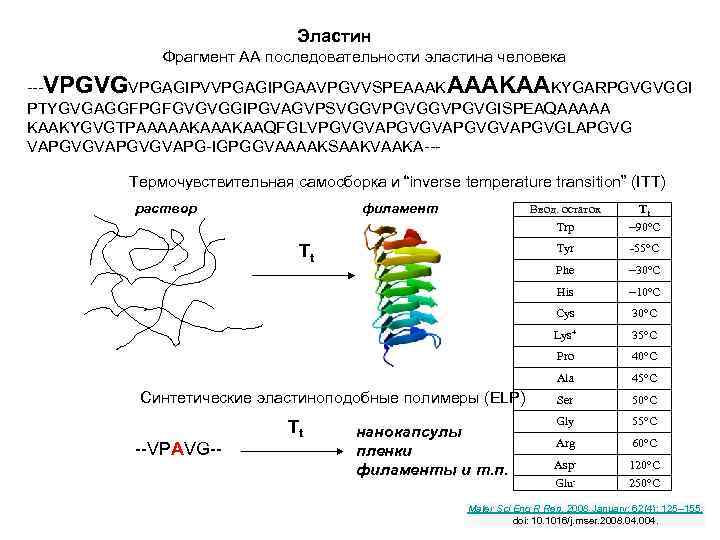 Эластин Фрагмент АА последовательности эластина человека ---VPGVGVPGAGIPVVPGAGIPGAAVPGVVSPEAAAKAAKYGARPGVGVGGI PTYGVGAGGFPGFGVGVGGIPGVAGVPSVGGVPGVGISPEAQAAAAA KAAKYGVGTPAAAAAKAAQFGLVPGVGVAPGVGVAPGVGLAPGVG VAPGVGVAPG-IGPGGVAAAAKSAAKVAAKA--- Термочувствительная самосборка и “inverse