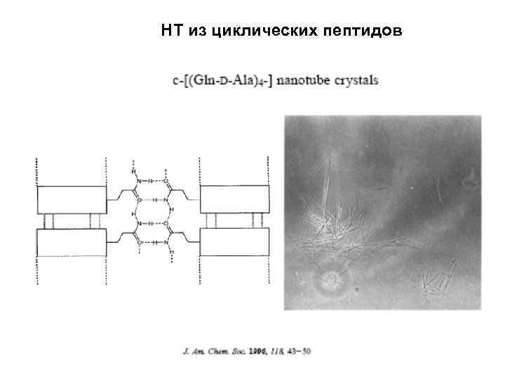 НТ из циклических пептидов 
