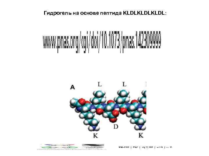 Гидрогель на основе пептида KLDLKLDL: 