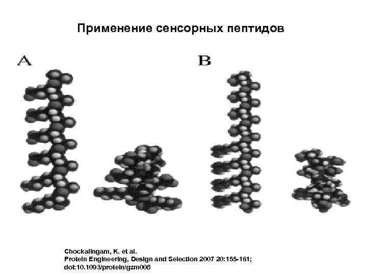 Применение сенсорных пептидов Chockalingam, K. et al. Protein Engineering, Design and Selection 2007 20: