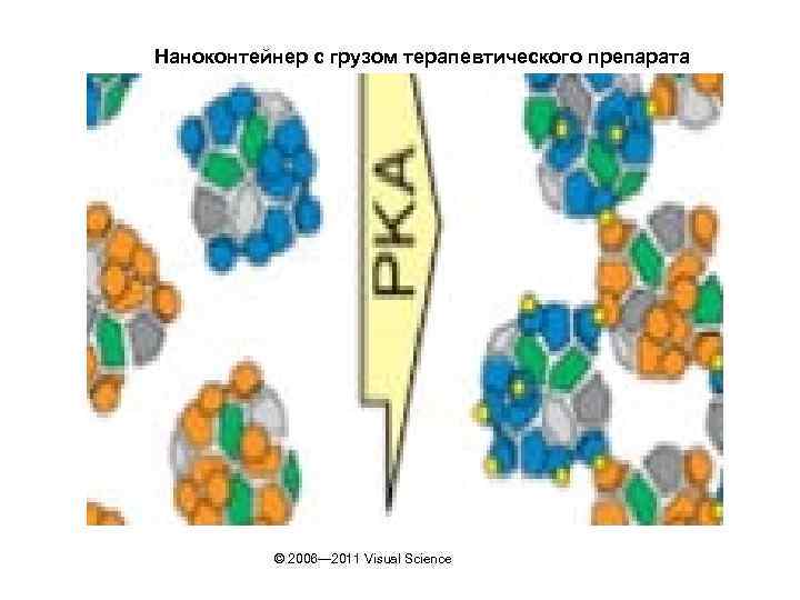 Наноконтейнер с грузом терапевтического препарата © 2006— 2011 Visual Science 