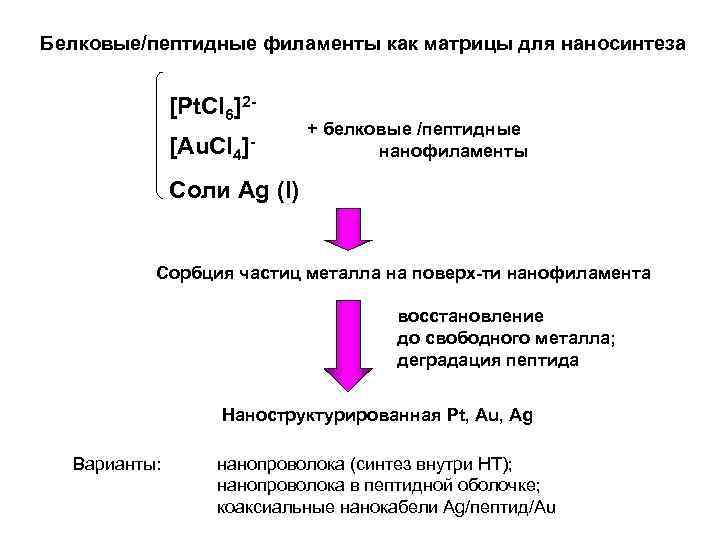 Белковые/пептидные филаменты как матрицы для наносинтеза [Pt. Cl 6]2[Au. Cl 4 ]- + белковые