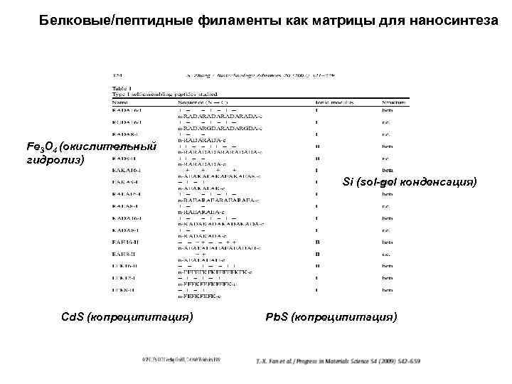 Белковые/пептидные филаменты как матрицы для наносинтеза Fe 3 O 4 (окислительный гидролиз) Si (sol-gel