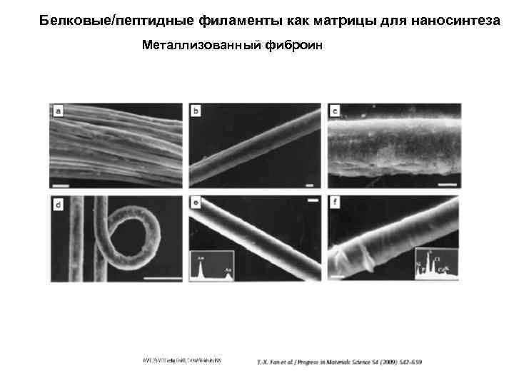 Белковые/пептидные филаменты как матрицы для наносинтеза Металлизованный фиброин 