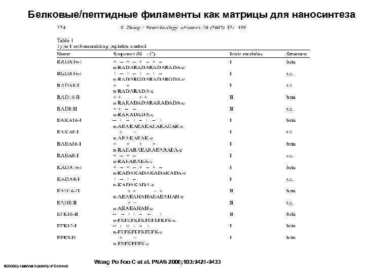 Белковые/пептидные филаменты как матрицы для наносинтеза © 2006 by National Academy of Sciences Wong