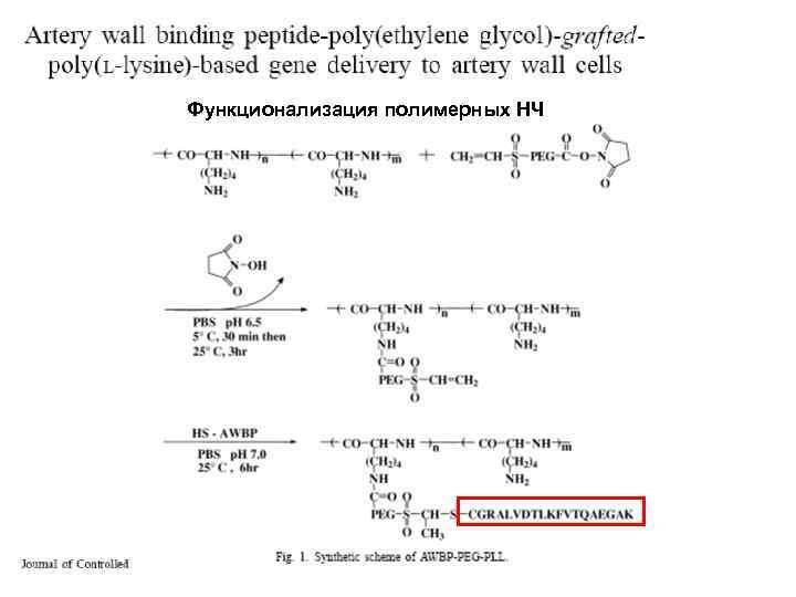 Функционализация полимерных НЧ 