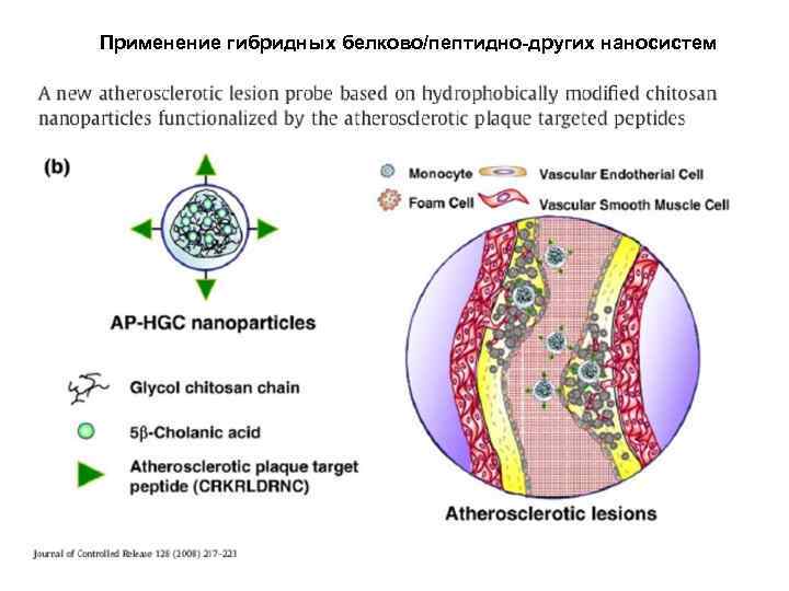 Применение гибридных белково/пептидно-других наносистем 