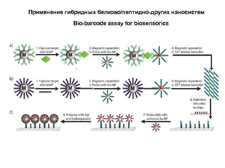 Применение гибридных белково/пептидно-других наносистем Bio-barcode assay for biosensorics 