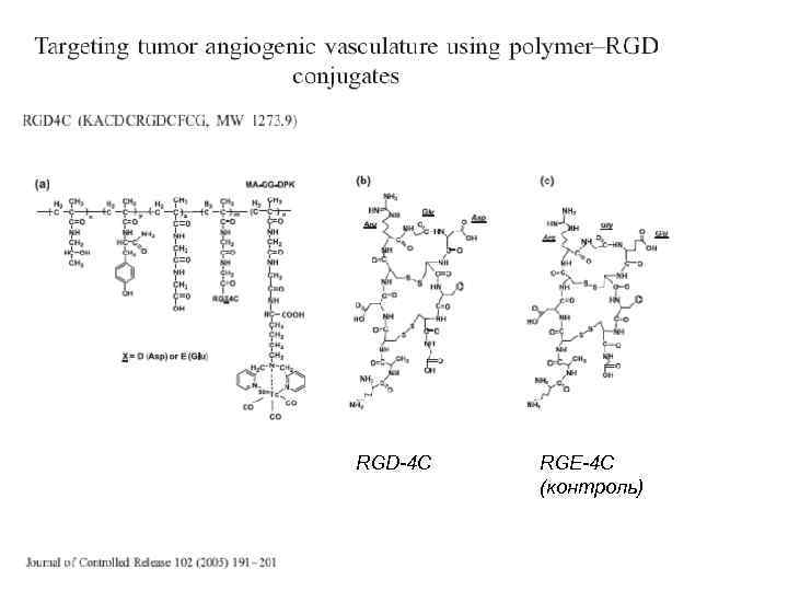 RGD-4 C RGE-4 C (контроль) 